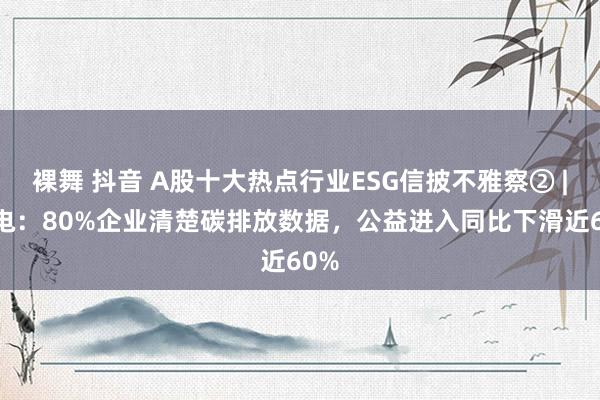 裸舞 抖音 A股十大热点行业ESG信披不雅察② | 绿电：80%企业清楚碳排放数据，公益进入同比下滑近60%