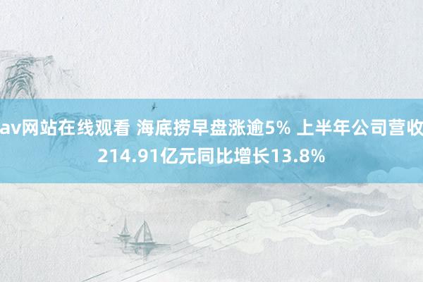 av网站在线观看 海底捞早盘涨逾5% 上半年公司营收214.91亿元同比增长13.8%