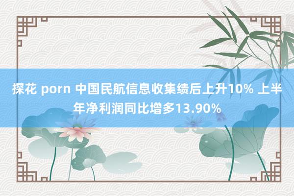 探花 porn 中国民航信息收集绩后上升10% 上半年净利润同比增多13.90%