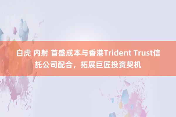 白虎 内射 首盛成本与香港Trident Trust信託公司配合，拓展巨匠投资契机