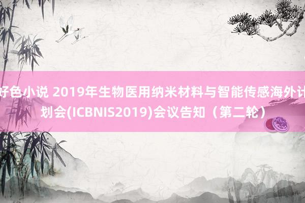 好色小说 2019年生物医用纳米材料与智能传感海外计划会(ICBNIS2019)会议告知（第二轮）