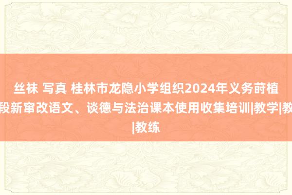 丝袜 写真 桂林市龙隐小学组织2024年义务莳植学段新窜改语文、谈德与法治课本使用收集培训|教学|教练